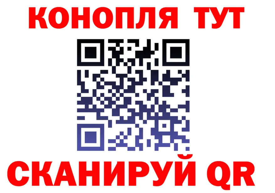 A PVP СК зеркало площадка omg Гаврилов Посад